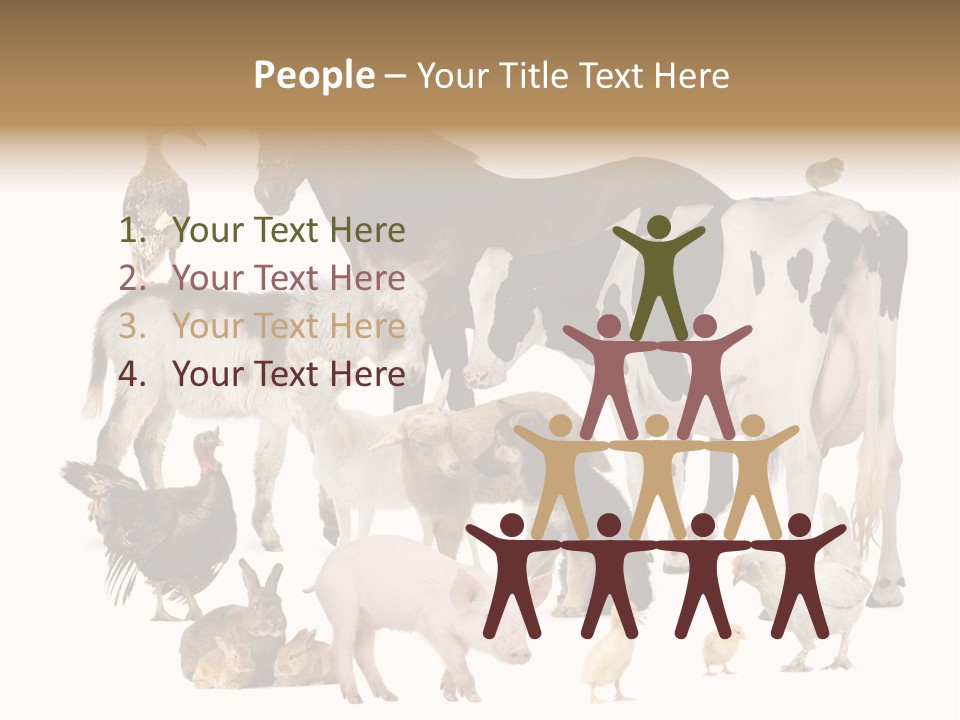 Donkey Studio Shot Rabbit PowerPoint Template