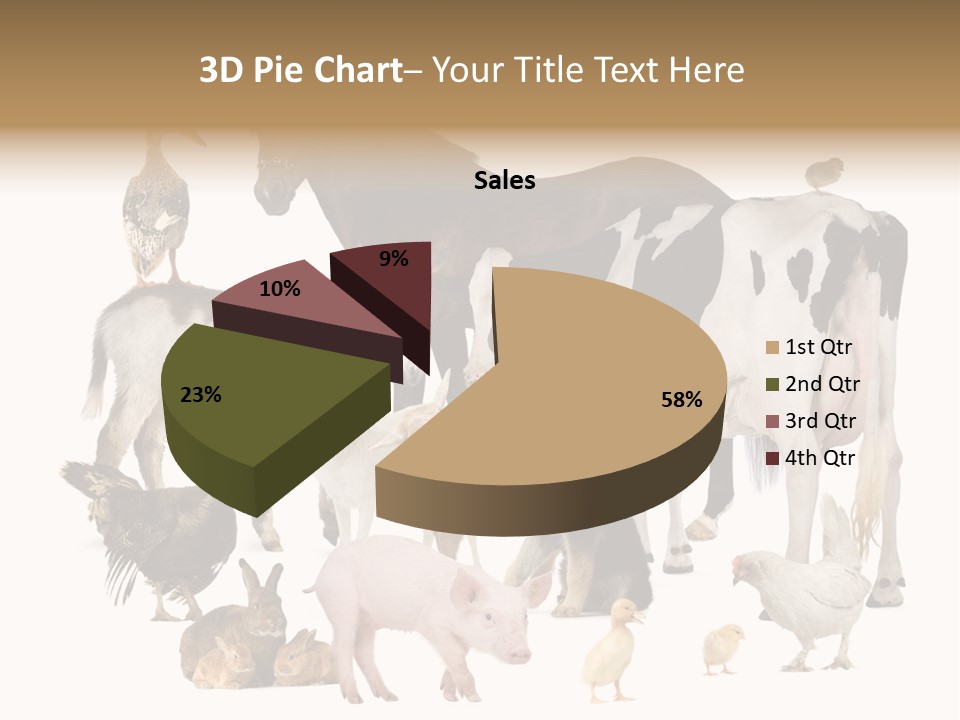 Donkey Studio Shot Rabbit PowerPoint Template
