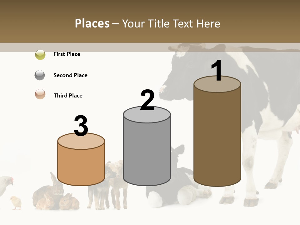 Animaux Animal De Ferme Mammif PowerPoint Template