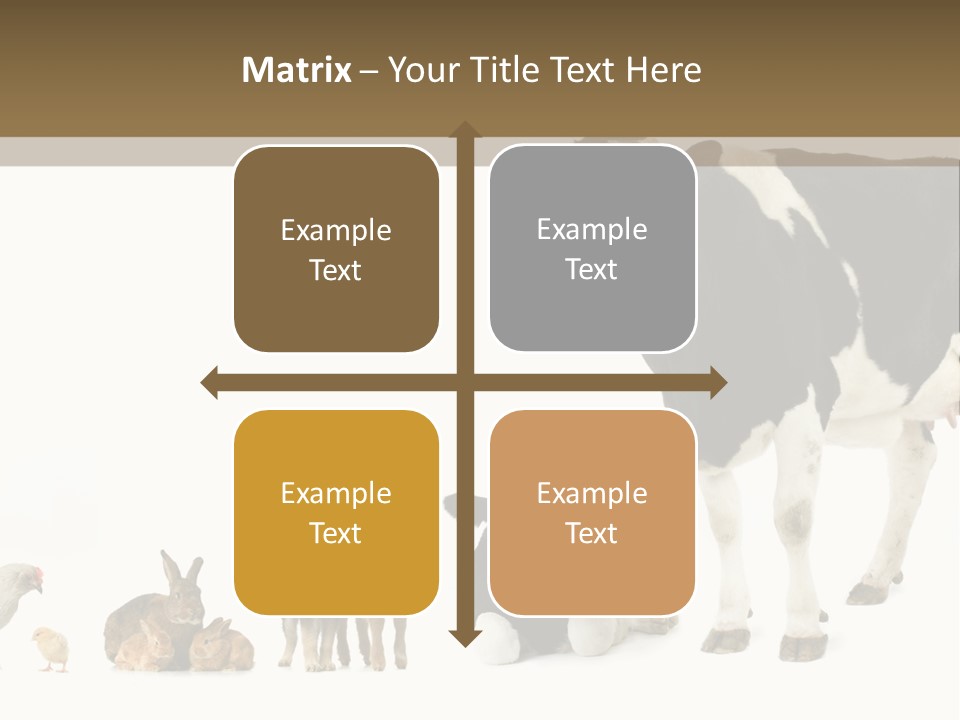 Animaux Animal De Ferme Mammif PowerPoint Template