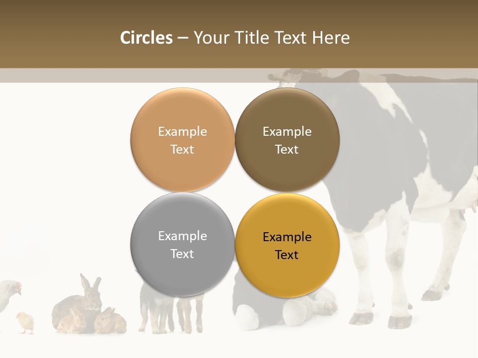 Animaux Animal De Ferme Mammif PowerPoint Template