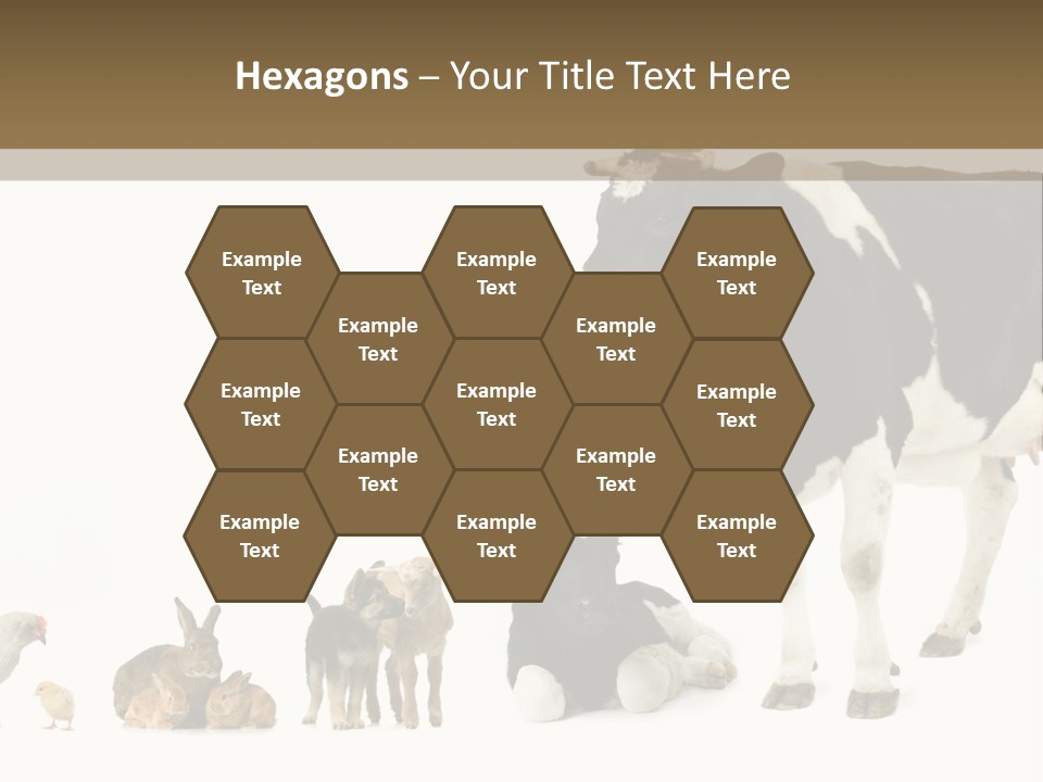 Animaux Animal De Ferme Mammif PowerPoint Template