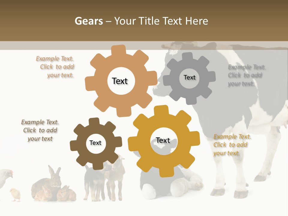 Animaux Animal De Ferme Mammif PowerPoint Template