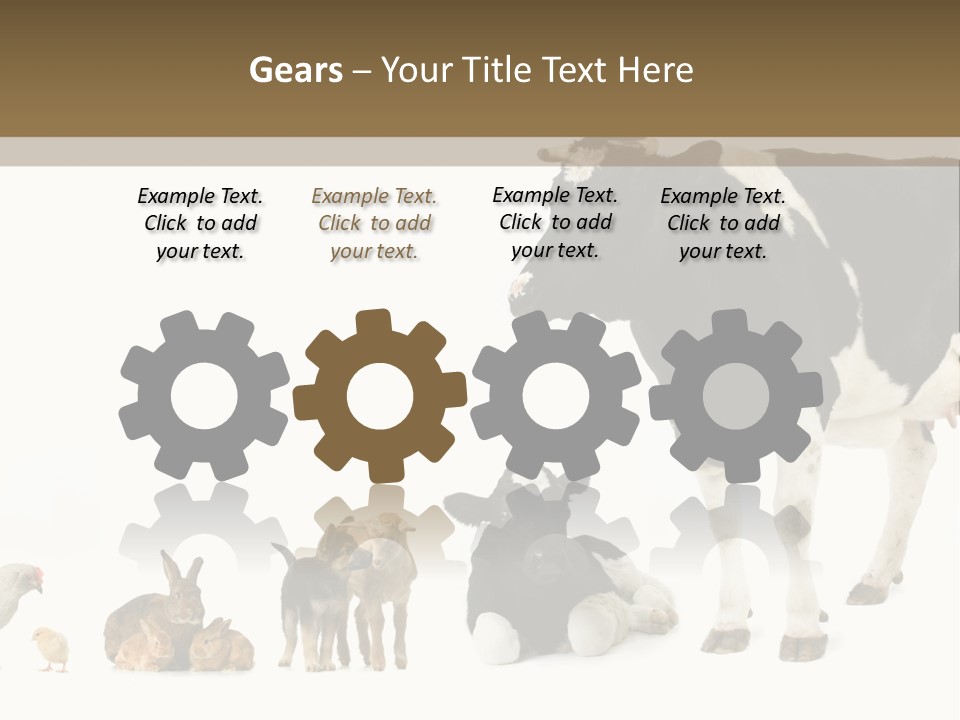 Animaux Animal De Ferme Mammif PowerPoint Template