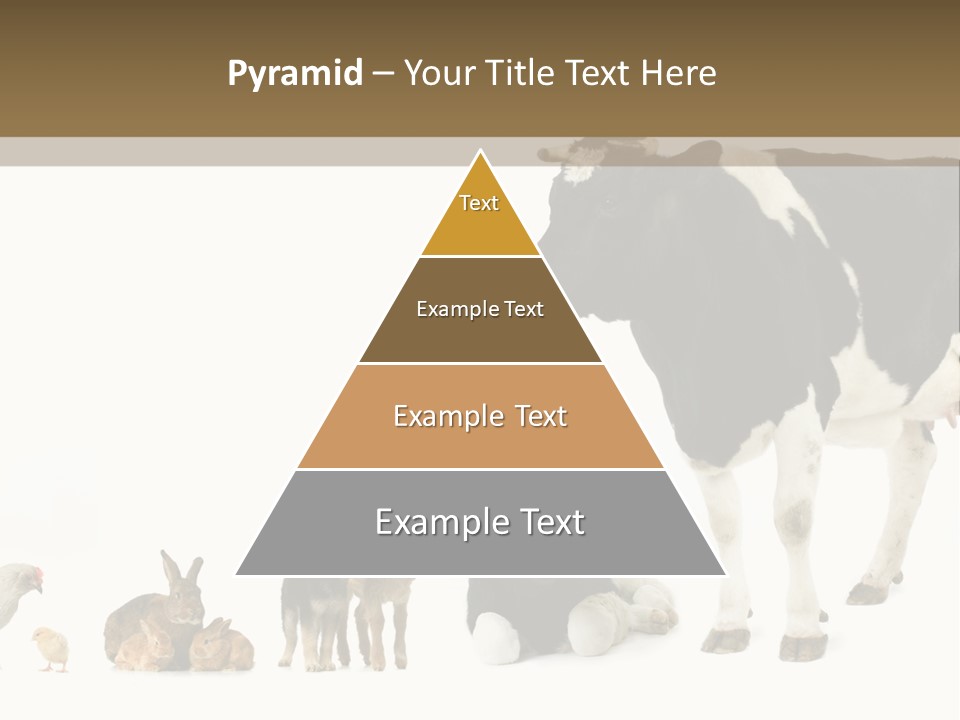 Animaux Animal De Ferme Mammif PowerPoint Template