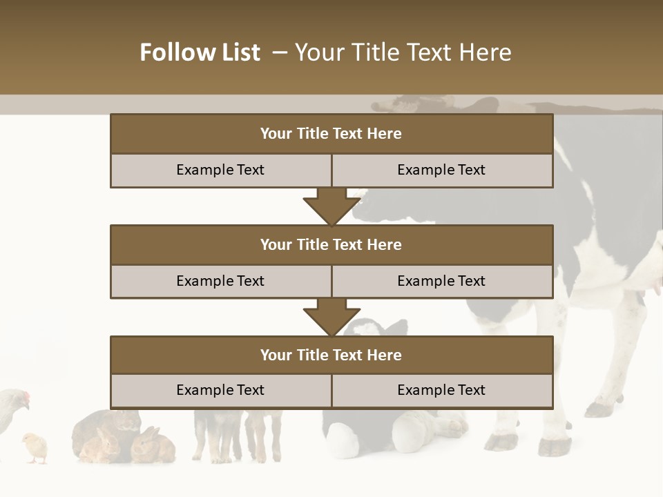 Animaux Animal De Ferme Mammif PowerPoint Template