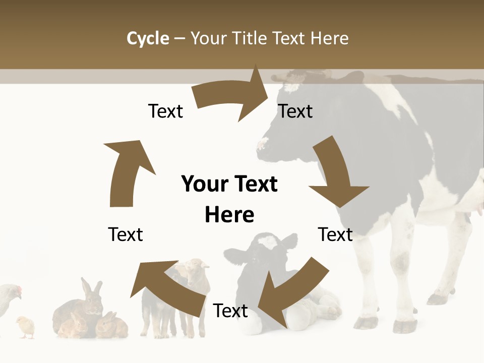 Animaux Animal De Ferme Mammif PowerPoint Template