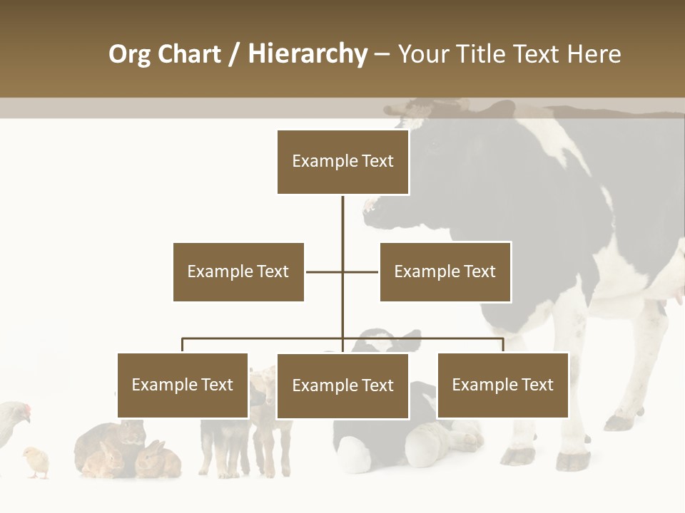 Animaux Animal De Ferme Mammif PowerPoint Template