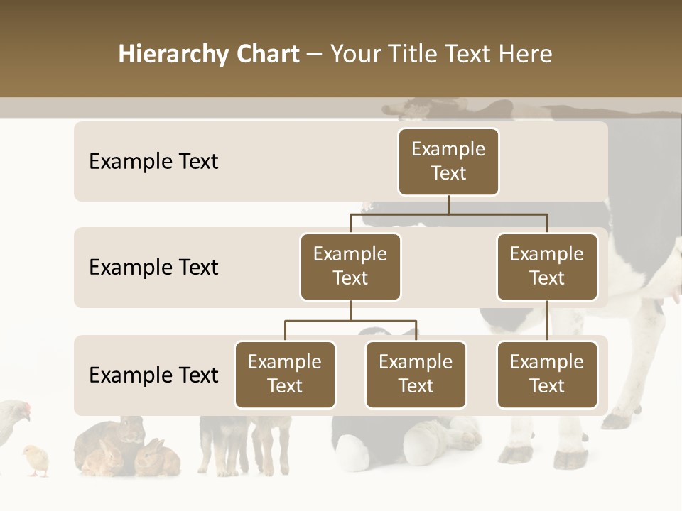 Animaux Animal De Ferme Mammif PowerPoint Template