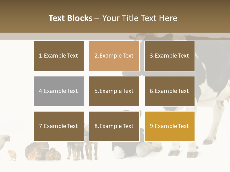 Animaux Animal De Ferme Mammif PowerPoint Template