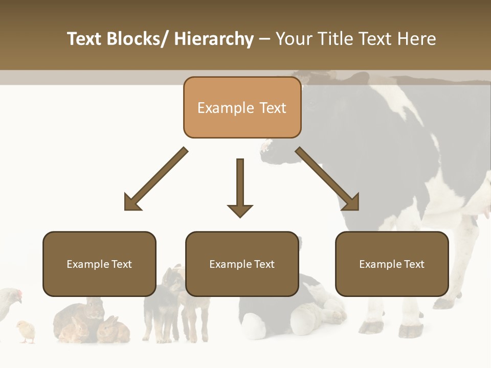 Animaux Animal De Ferme Mammif PowerPoint Template