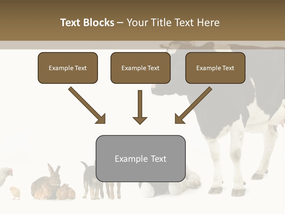 Animaux Animal De Ferme Mammif PowerPoint Template