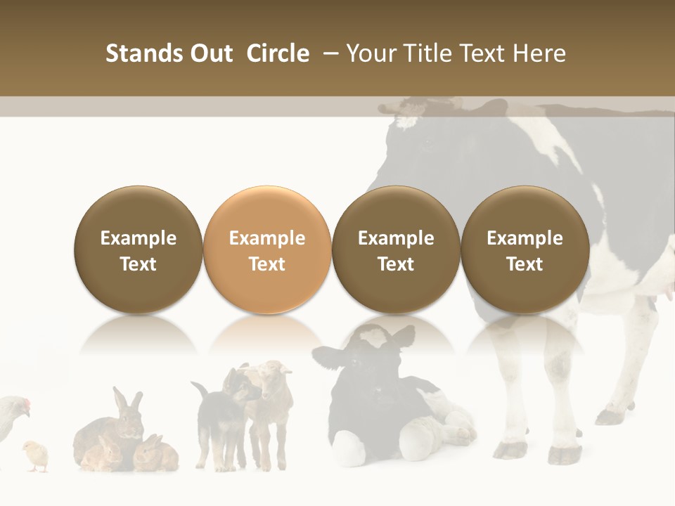 Animaux Animal De Ferme Mammif PowerPoint Template