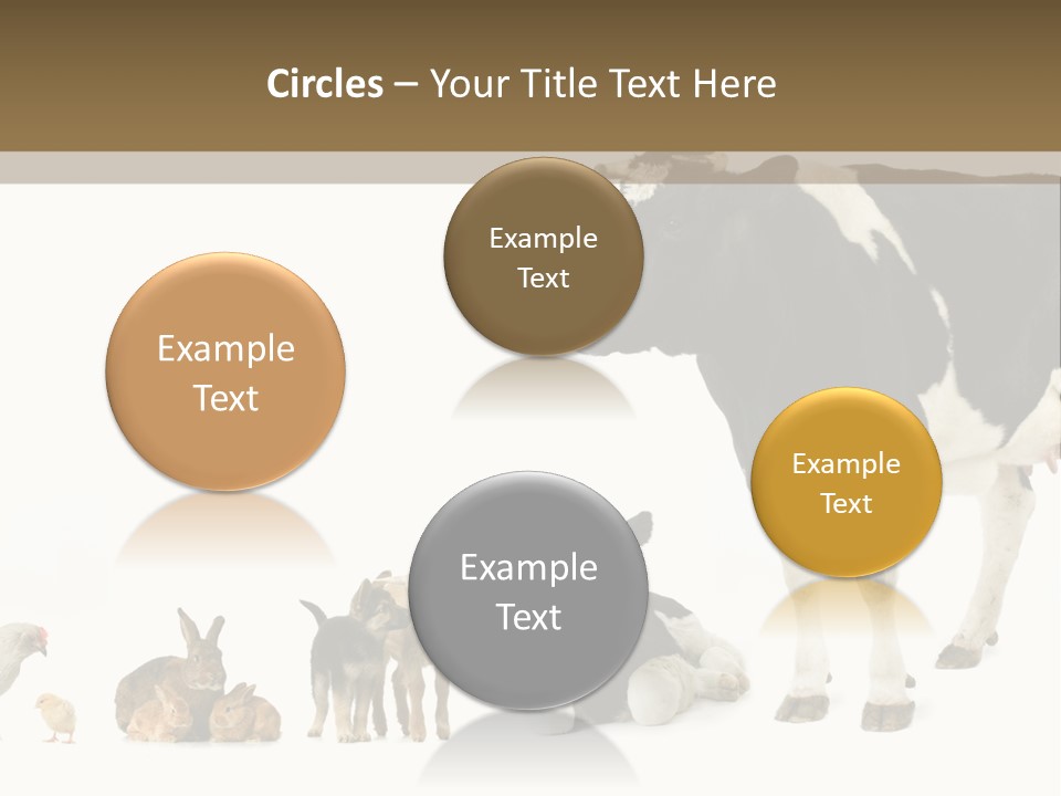 Animaux Animal De Ferme Mammif PowerPoint Template