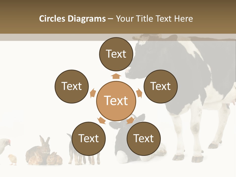 Animaux Animal De Ferme Mammif PowerPoint Template