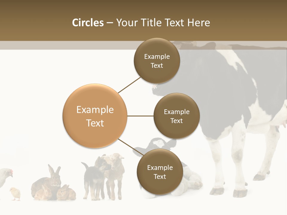Animaux Animal De Ferme Mammif PowerPoint Template