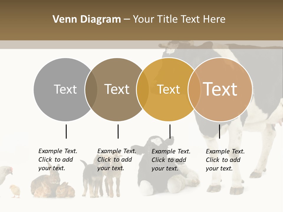 Animaux Animal De Ferme Mammif PowerPoint Template