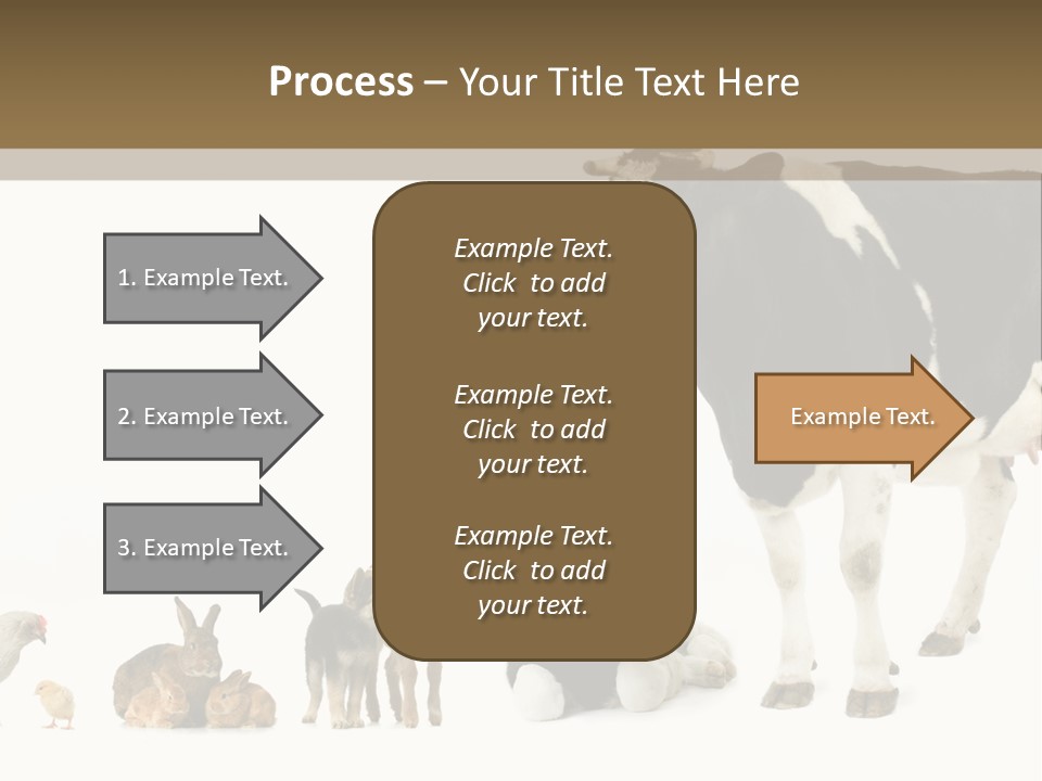 Animaux Animal De Ferme Mammif PowerPoint Template