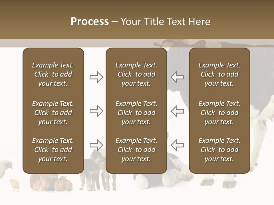 Animaux Animal De Ferme Mammif PowerPoint Template