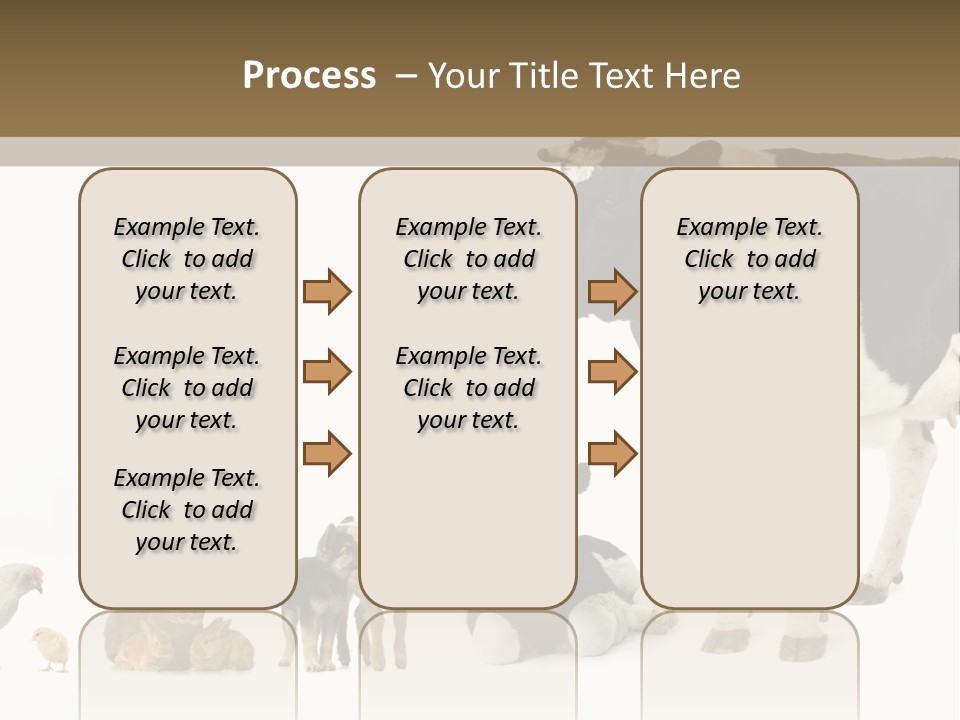 Animaux Animal De Ferme Mammif PowerPoint Template