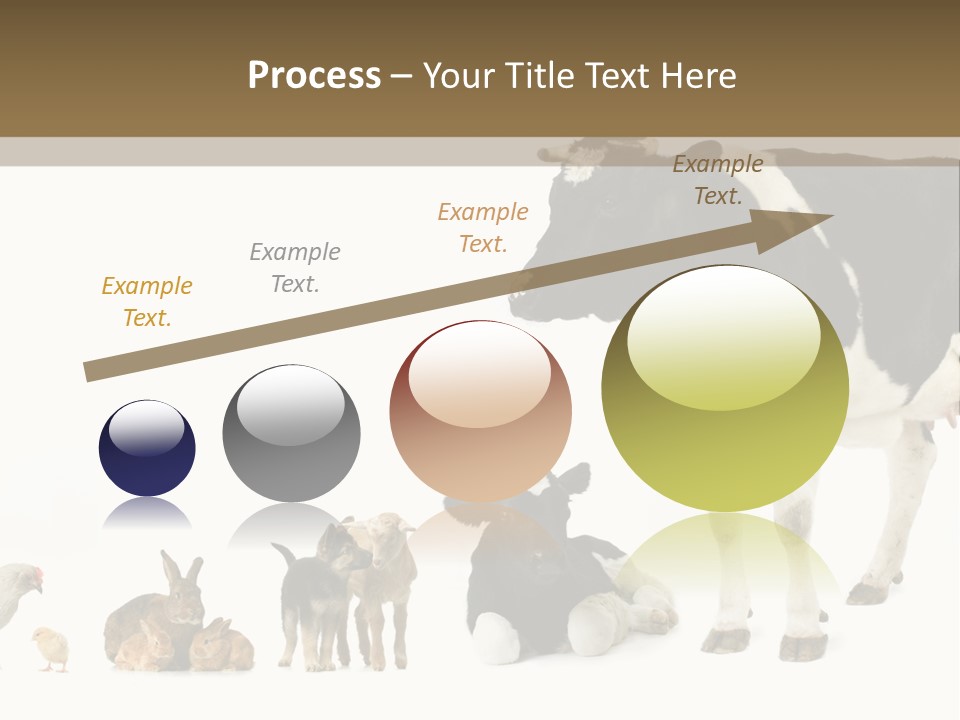 Animaux Animal De Ferme Mammif PowerPoint Template