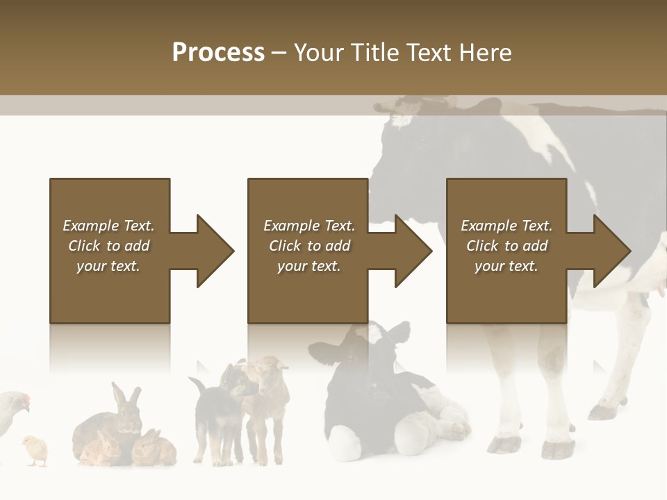 Animaux Animal De Ferme Mammif PowerPoint Template