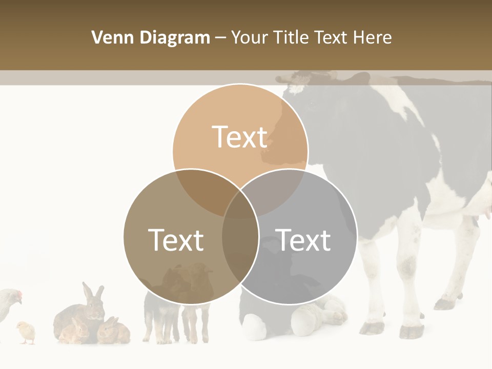 Animaux Animal De Ferme Mammif PowerPoint Template