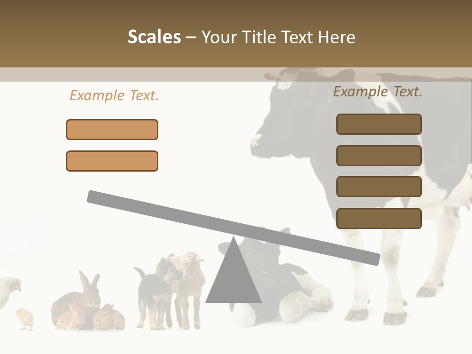 Animaux Animal De Ferme Mammif PowerPoint Template