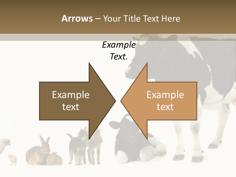 Animaux Animal De Ferme Mammif PowerPoint Template