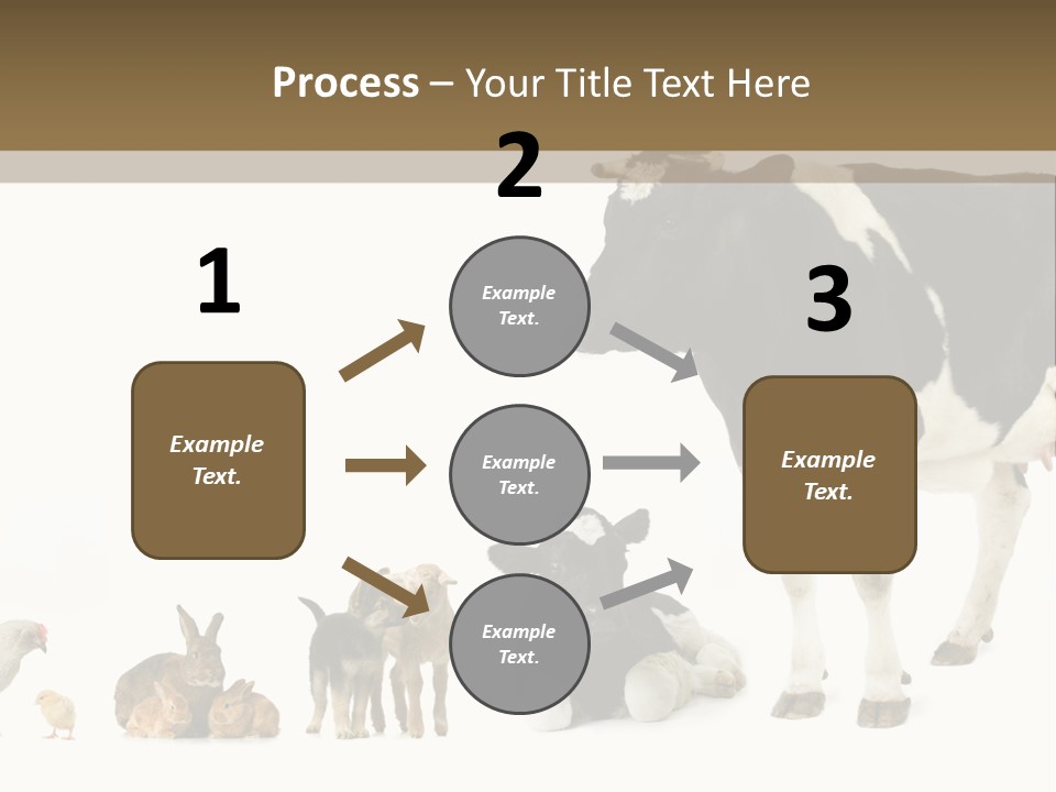 Animaux Animal De Ferme Mammif PowerPoint Template