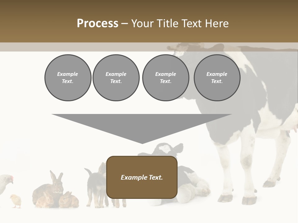 Animaux Animal De Ferme Mammif PowerPoint Template