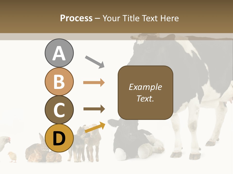 Animaux Animal De Ferme Mammif PowerPoint Template