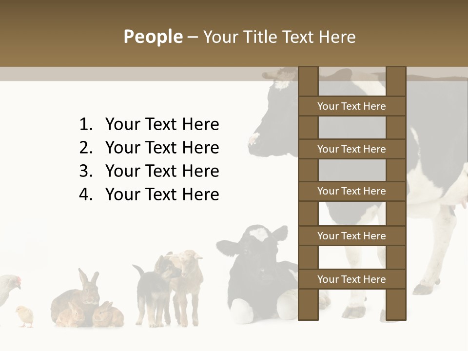 Animaux Animal De Ferme Mammif PowerPoint Template