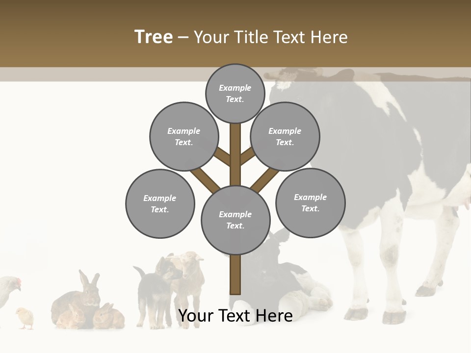 Animaux Animal De Ferme Mammif PowerPoint Template