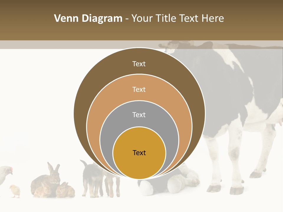 Animaux Animal De Ferme Mammif PowerPoint Template