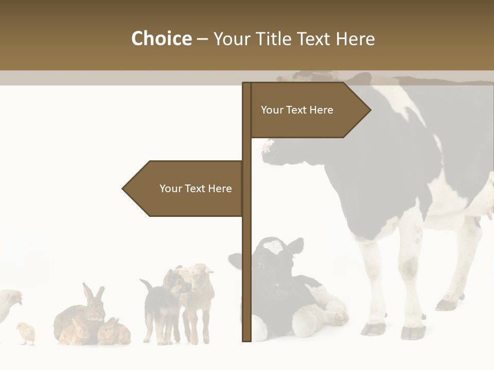 Animaux Animal De Ferme Mammif PowerPoint Template