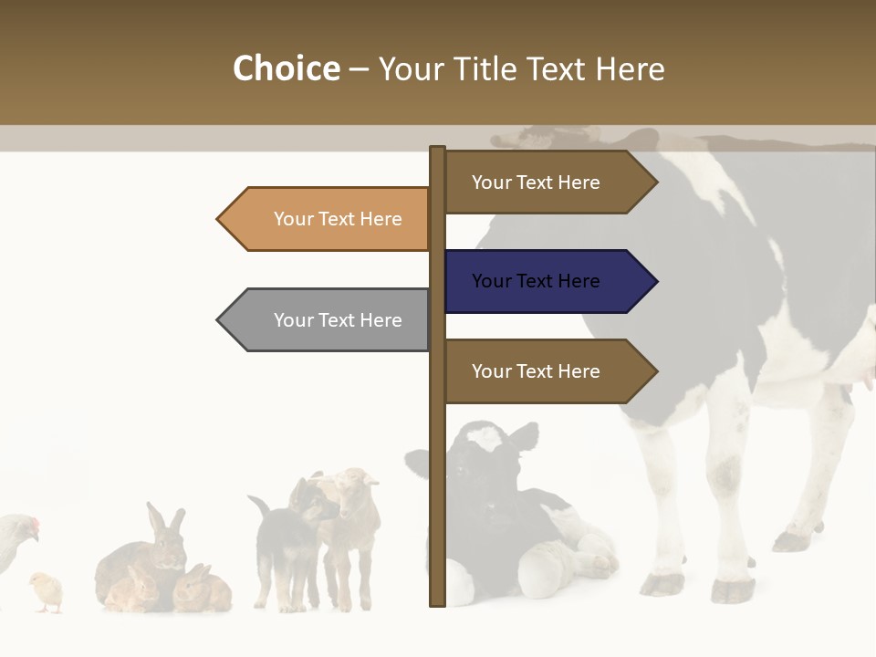 Animaux Animal De Ferme Mammif PowerPoint Template