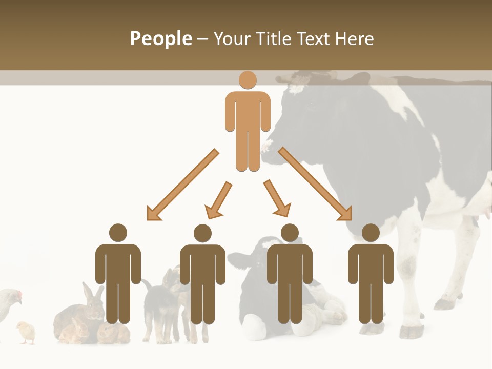 Animaux Animal De Ferme Mammif PowerPoint Template