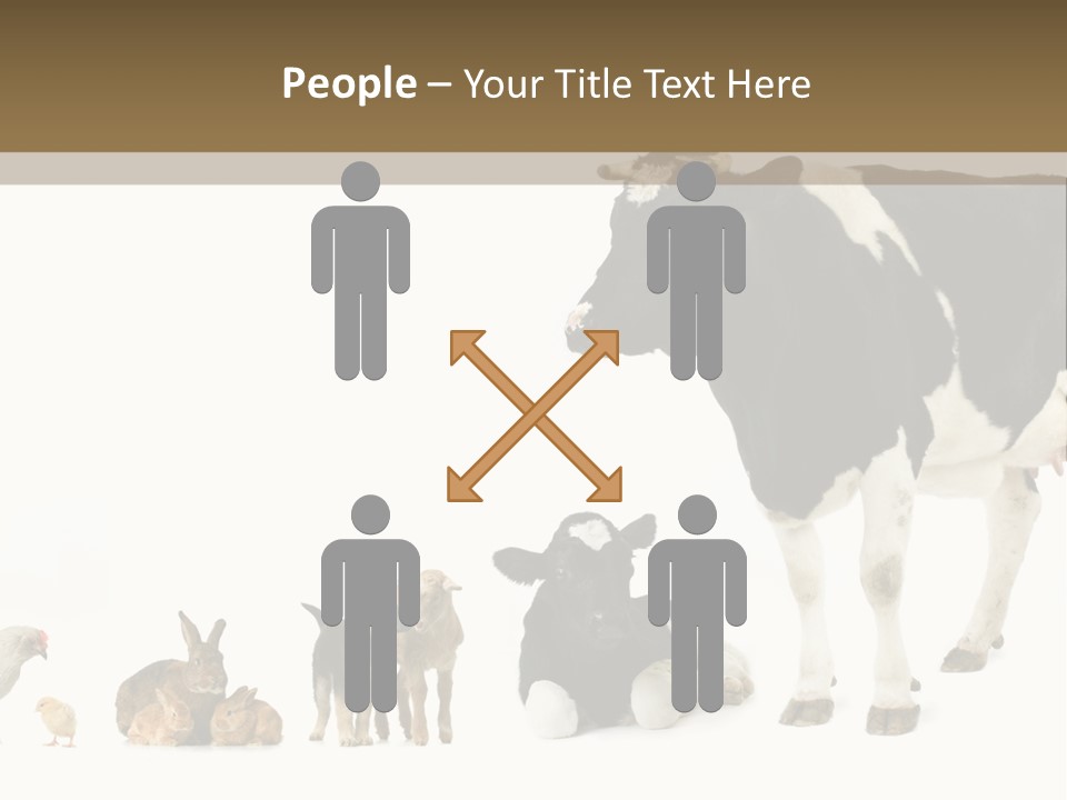 Animaux Animal De Ferme Mammif PowerPoint Template