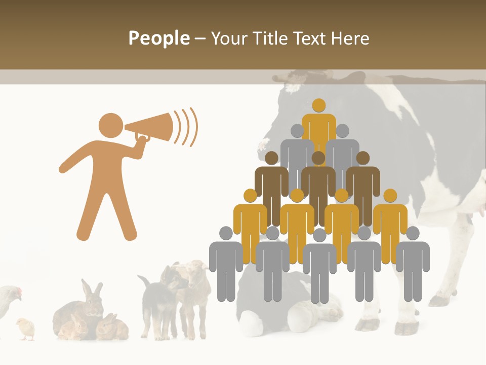 Animaux Animal De Ferme Mammif PowerPoint Template