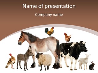 Togetherness Indoors Large Group Of Animals PowerPoint Template