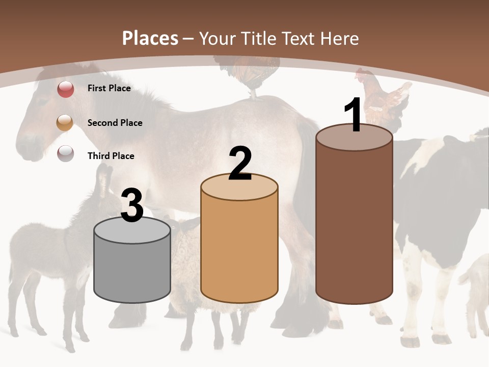 Togetherness Indoors Large Group Of Animals PowerPoint Template