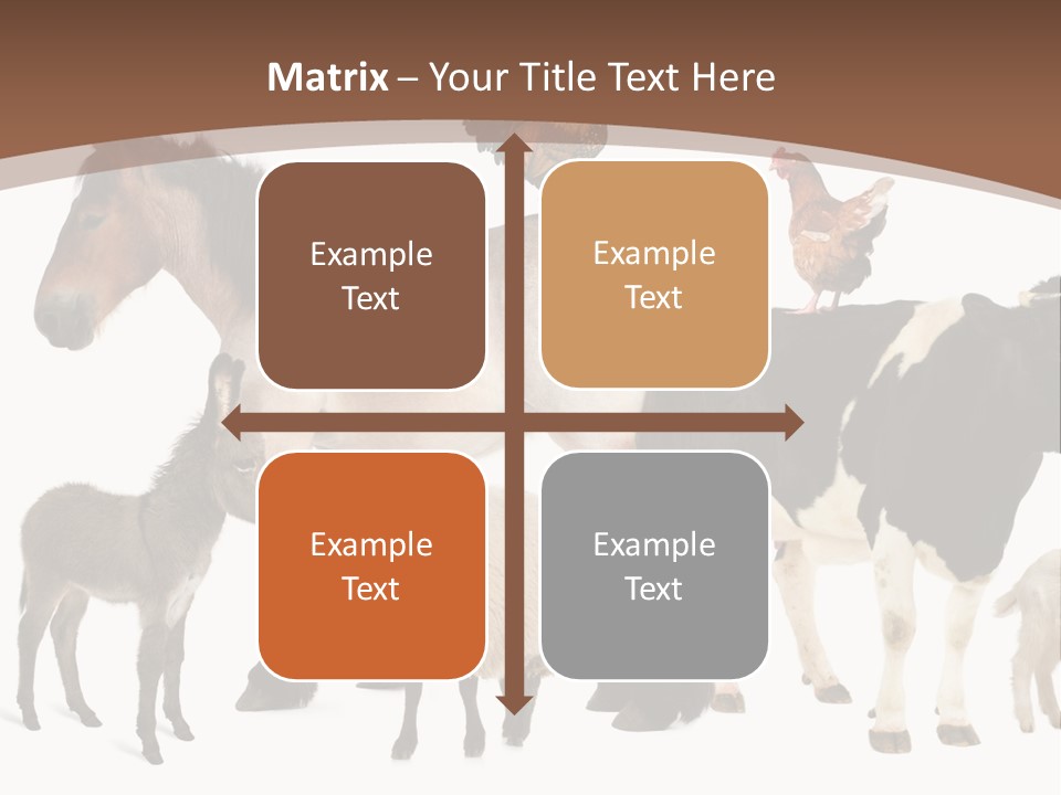 Togetherness Indoors Large Group Of Animals PowerPoint Template