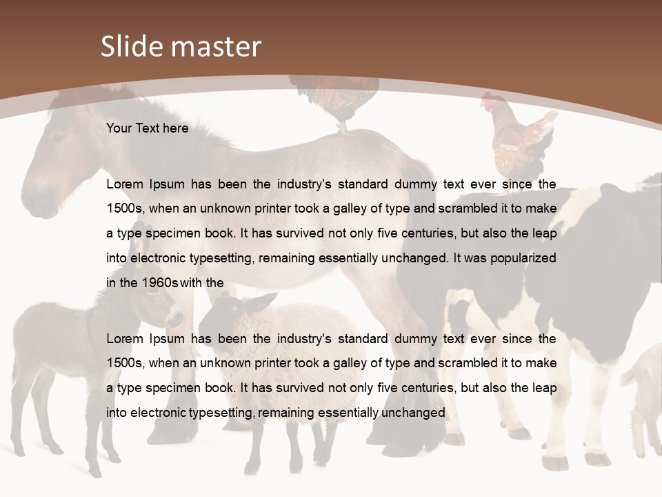 Togetherness Indoors Large Group Of Animals PowerPoint Template