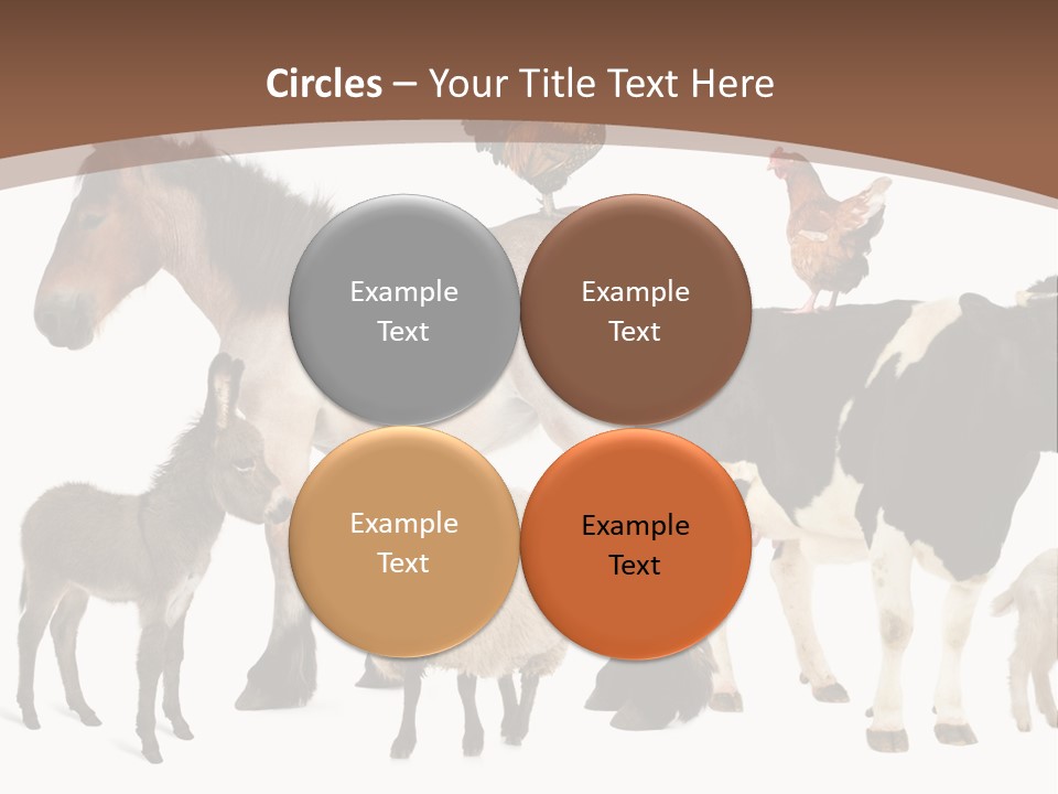 Togetherness Indoors Large Group Of Animals PowerPoint Template