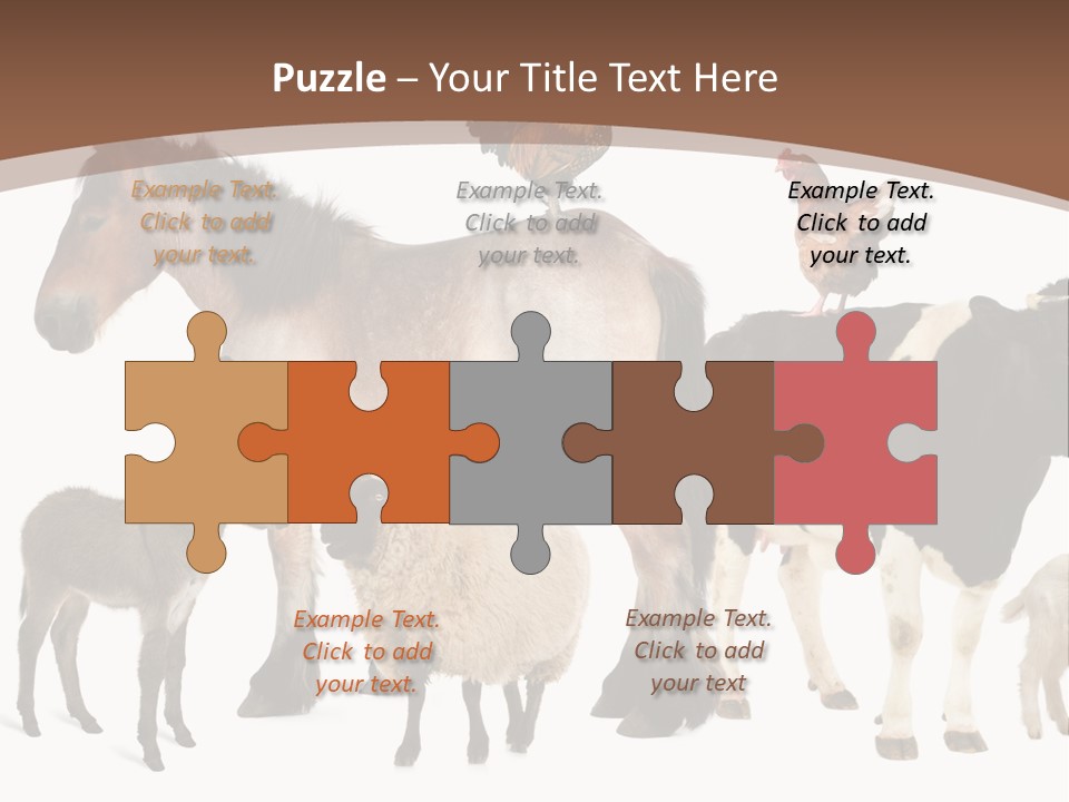 Togetherness Indoors Large Group Of Animals PowerPoint Template