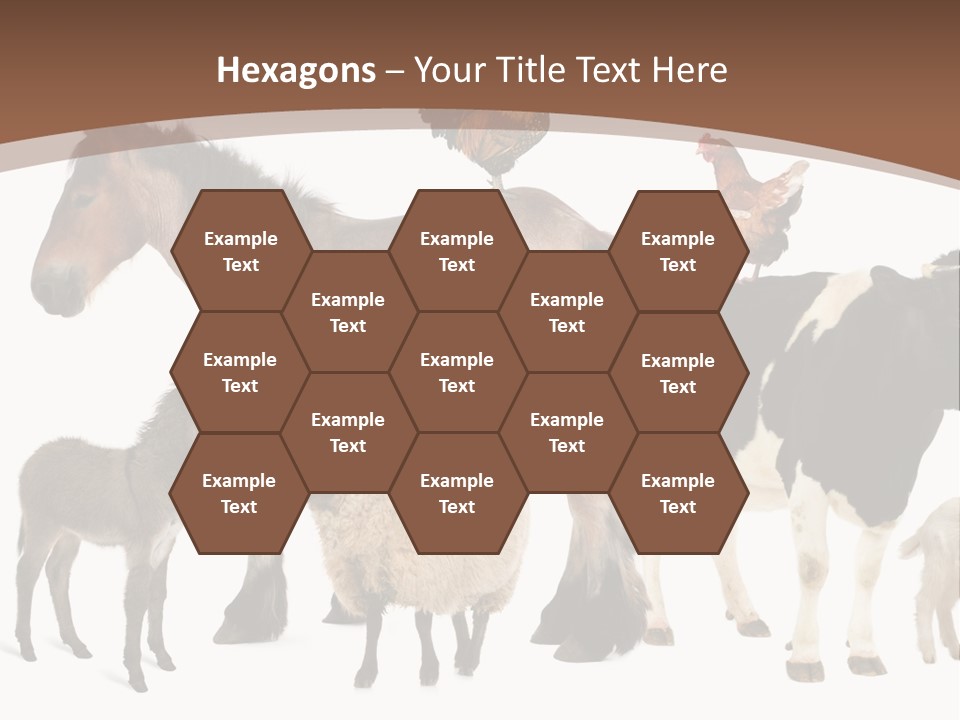 Togetherness Indoors Large Group Of Animals PowerPoint Template