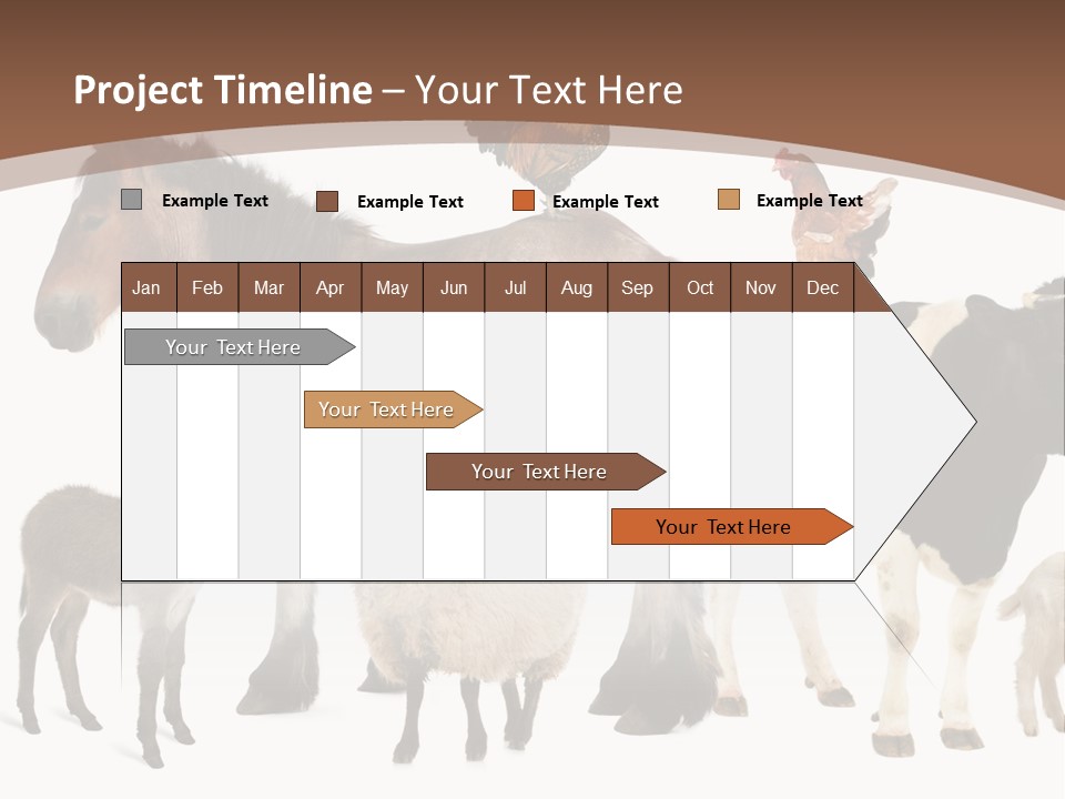 Togetherness Indoors Large Group Of Animals PowerPoint Template