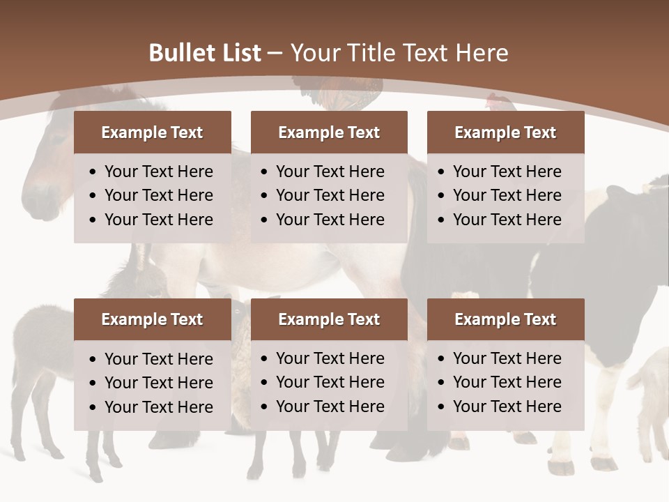 Togetherness Indoors Large Group Of Animals PowerPoint Template