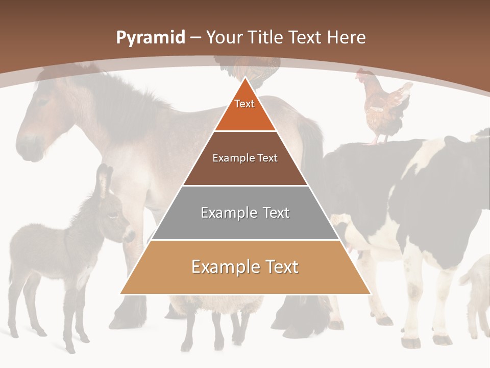 Togetherness Indoors Large Group Of Animals PowerPoint Template